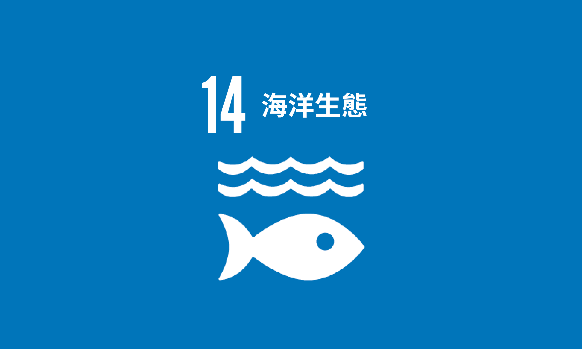 Featured image for SDG 14｜海洋生態